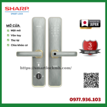 _SHARP (28)