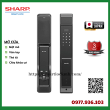 _SHARP (37)