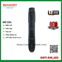 _SHARP (44)