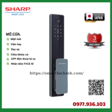 _SHARP (63)