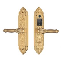 Khóa Vân Tay KASSLER KL – 969G (4)